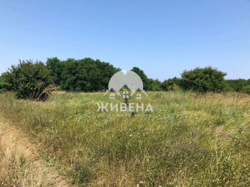 Продается  Сюжет область Добрич , Камен бряг , 2719 кв.м | 65689245 - изображение [12]