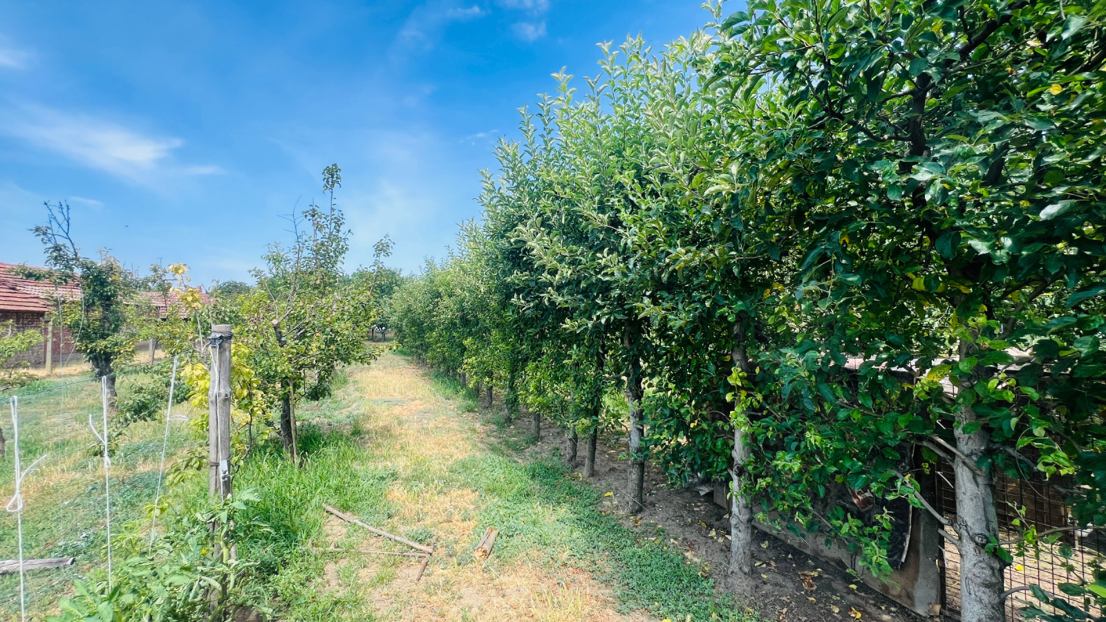 Продава КЪЩА, гр. Вълчедръм, област Монтана, снимка 2 - Къщи - 53797563