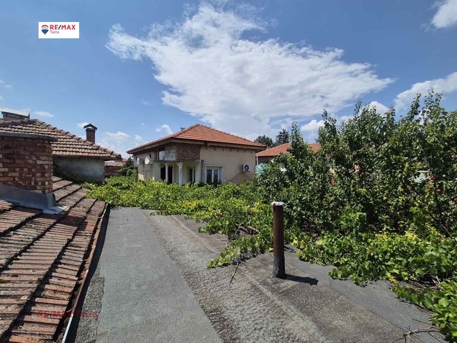 Продава КЪЩА, гр. Долни Дъбник, област Плевен, снимка 14 - Къщи - 55152367