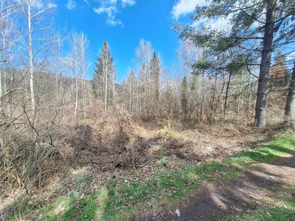 Продава ПАРЦЕЛ, гр. София, с. Владая, снимка 4 - Парцели - 49345390