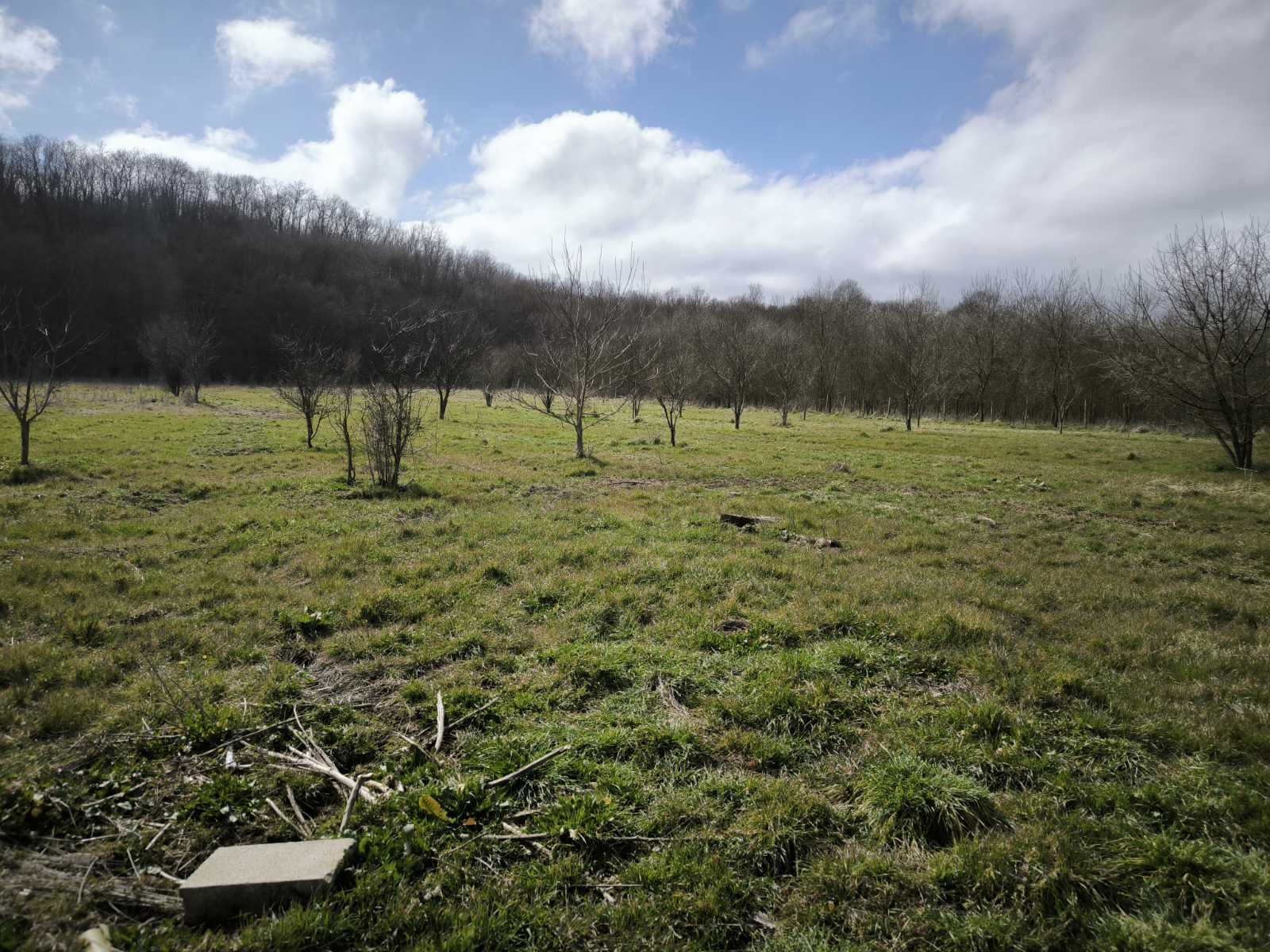 Продава ЗЕМЕДЕЛСКА ЗЕМЯ, с. Ясна поляна, област Бургас