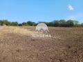 Продава ПАРЦЕЛ, с. Камен бряг, област Добрич, снимка 4