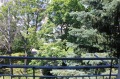 Продава 2-СТАЕН, град София, Надежда 2 • 129000 € • 78544454 — Holmes.bg