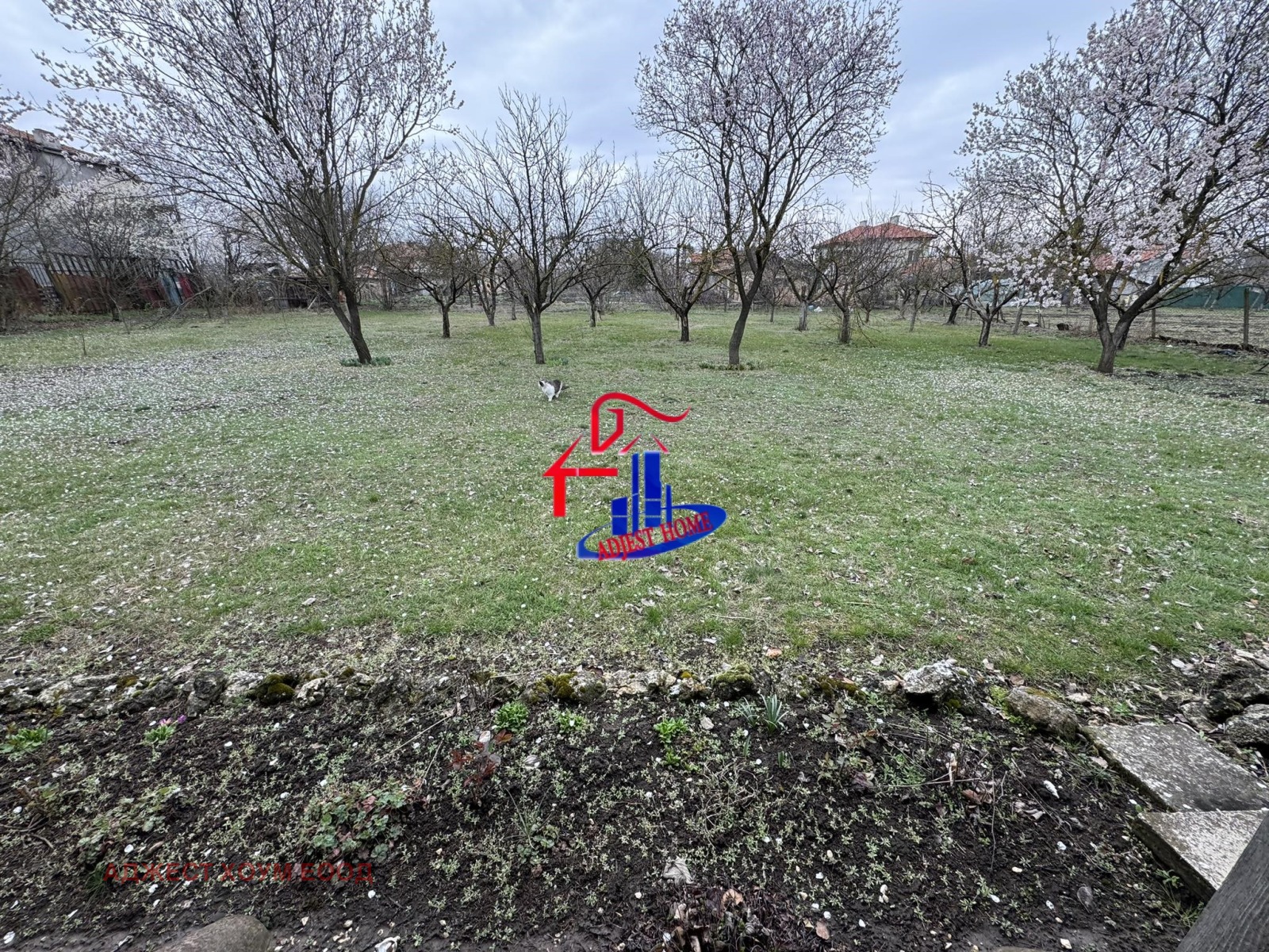 ������� ������ | Imot.bg � ����������� 1