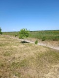 Продава ЗЕМЕДЕЛСКА ЗЕМЯ, гр. Видин, област Видин, снимка 3