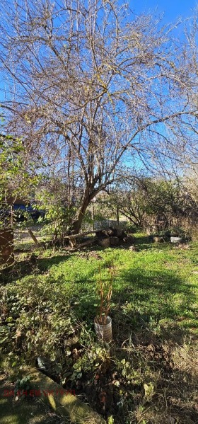 ������� ���� | Imot.bg � ����� ������ 6