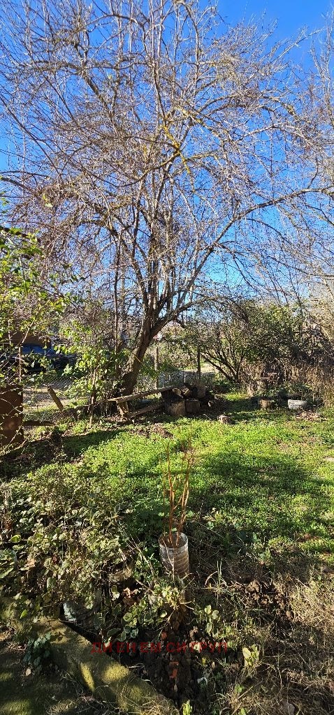 Продава КЪЩА, с. Дюлино, област Варна, снимка 5 - Къщи - 52787726