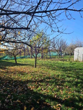 ������� ���� | Imot.bg � ����� ������ 7