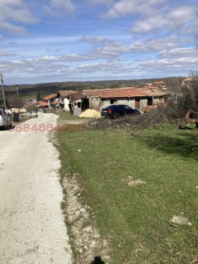 ����� ������� ������,�. ��������, ������ ������