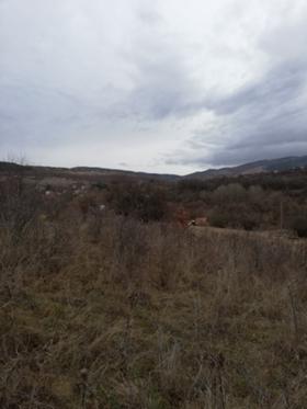 Plot Elovdol, region Pernik 5