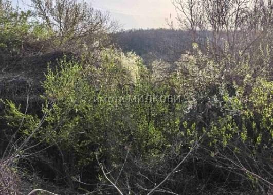 Продава КЪЩА, с. Волово, област Русе, снимка 3 - Къщи - 54428748
