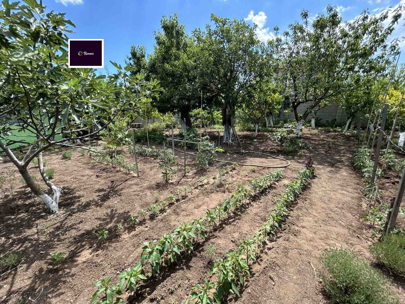 Προς πώληση  σπίτι περιοχή Dobrich , Τοπολα , 275 τ.μ | 41914305 - εικόνα [14]