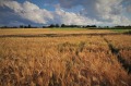 Продава ЗЕМЕДЕЛСКА ЗЕМЯ, с. Табачка, област Русе, снимка 2
