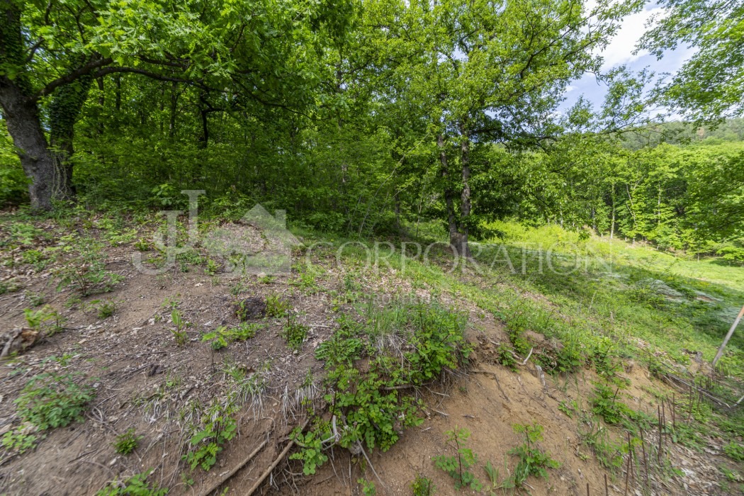 Продава ПАРЦЕЛ | Imot.bg — изображение 1