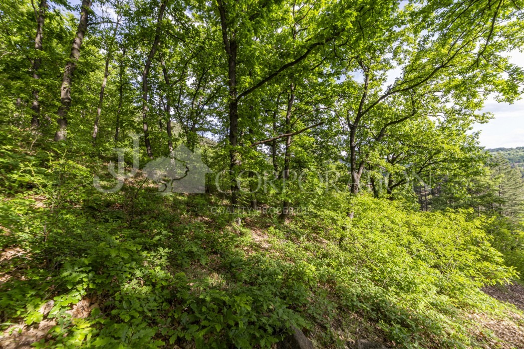 Продава ПАРЦЕЛ | Imot.bg — изображение 3