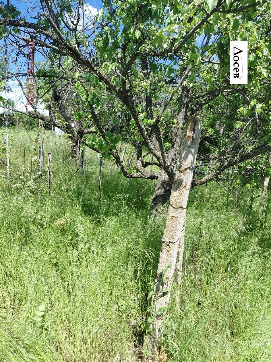 ������� ������ | Imot.bg � ����������� 7