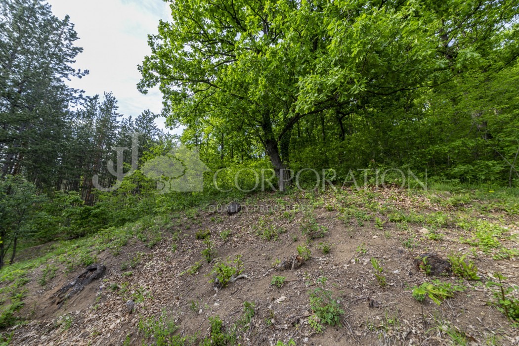 Продава ПАРЦЕЛ, с. Рударци, област Перник, снимка 2 - Парцели - 50378017