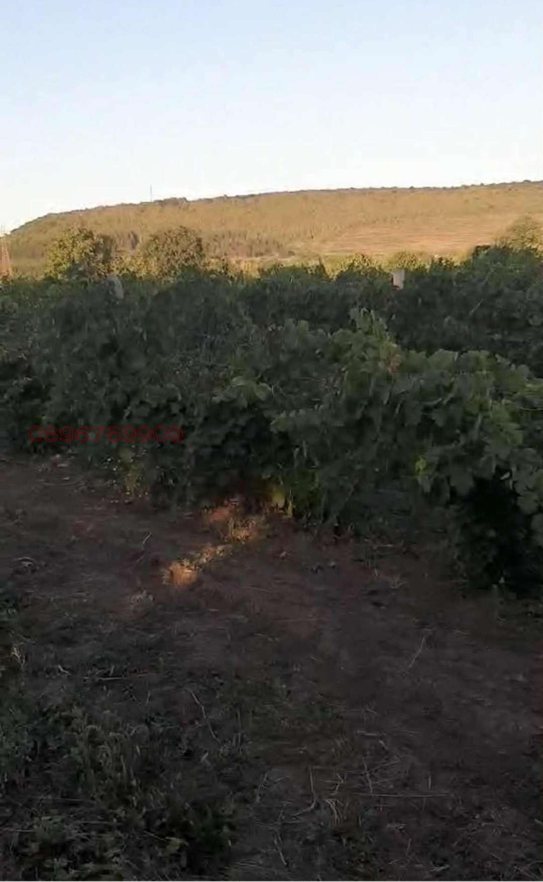 Продава ПАРЦЕЛ, гр. Суворово, област Варна