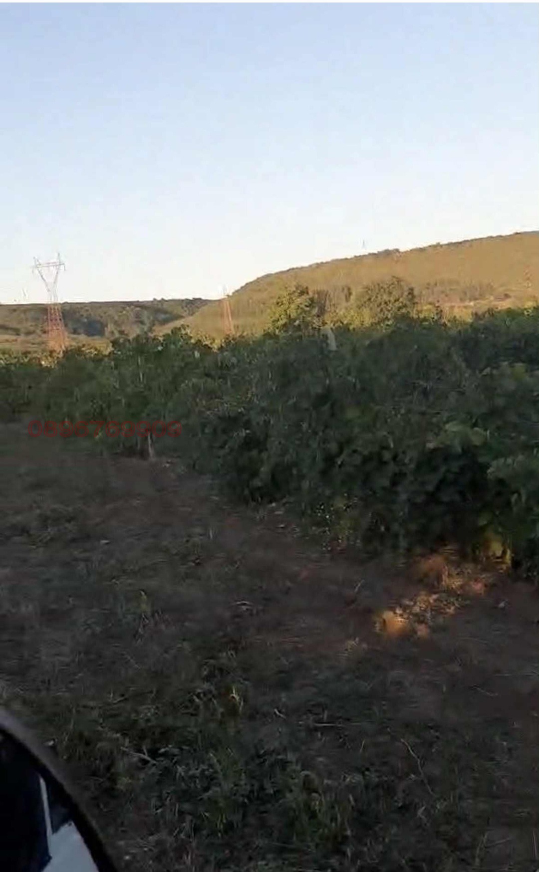 Продава ПАРЦЕЛ, гр. Суворово, област Варна, снимка 2 - Парцели - 54097630