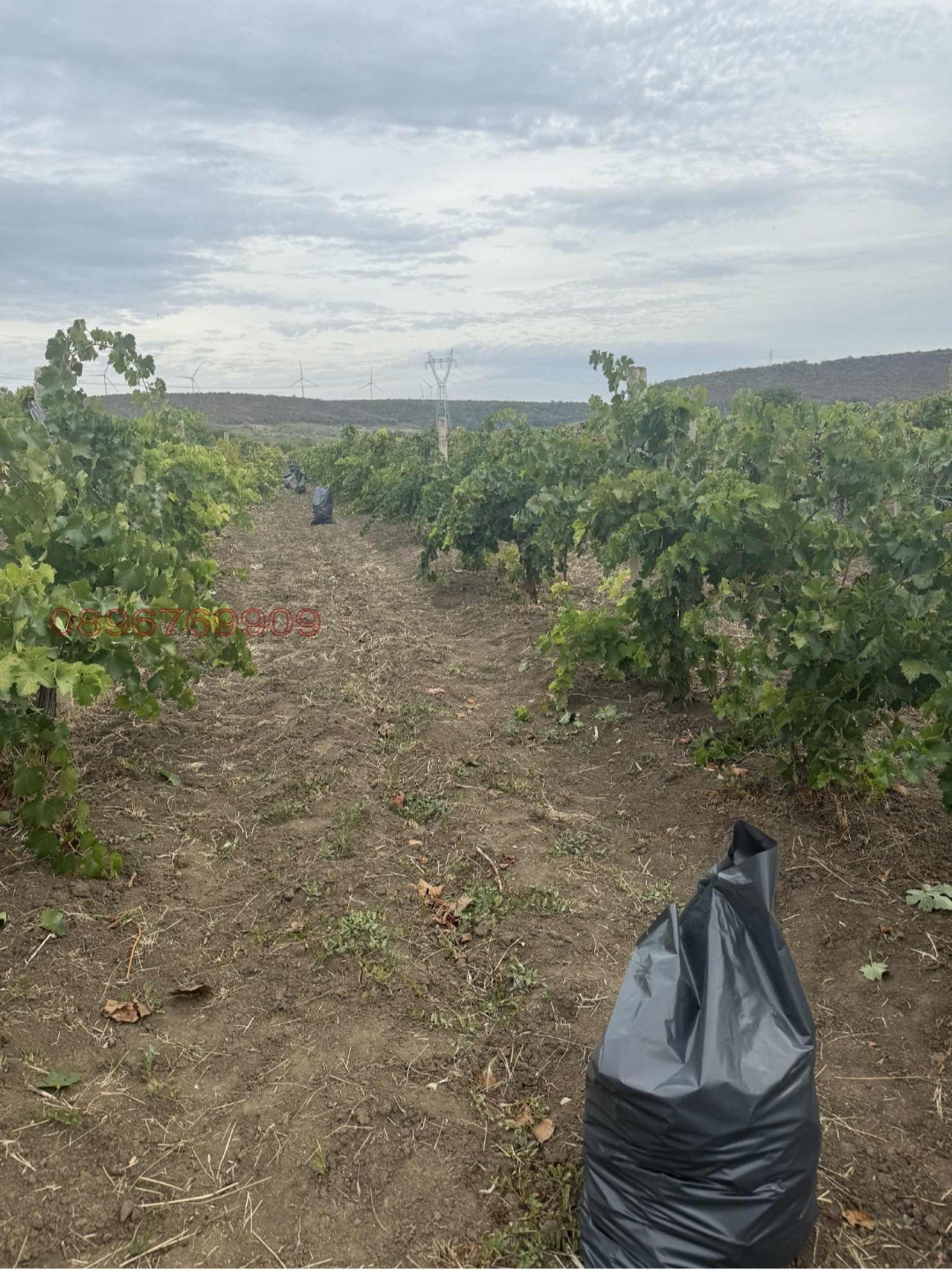 Продава ПАРЦЕЛ, гр. Суворово, област Варна, снимка 3 - Парцели - 54097630