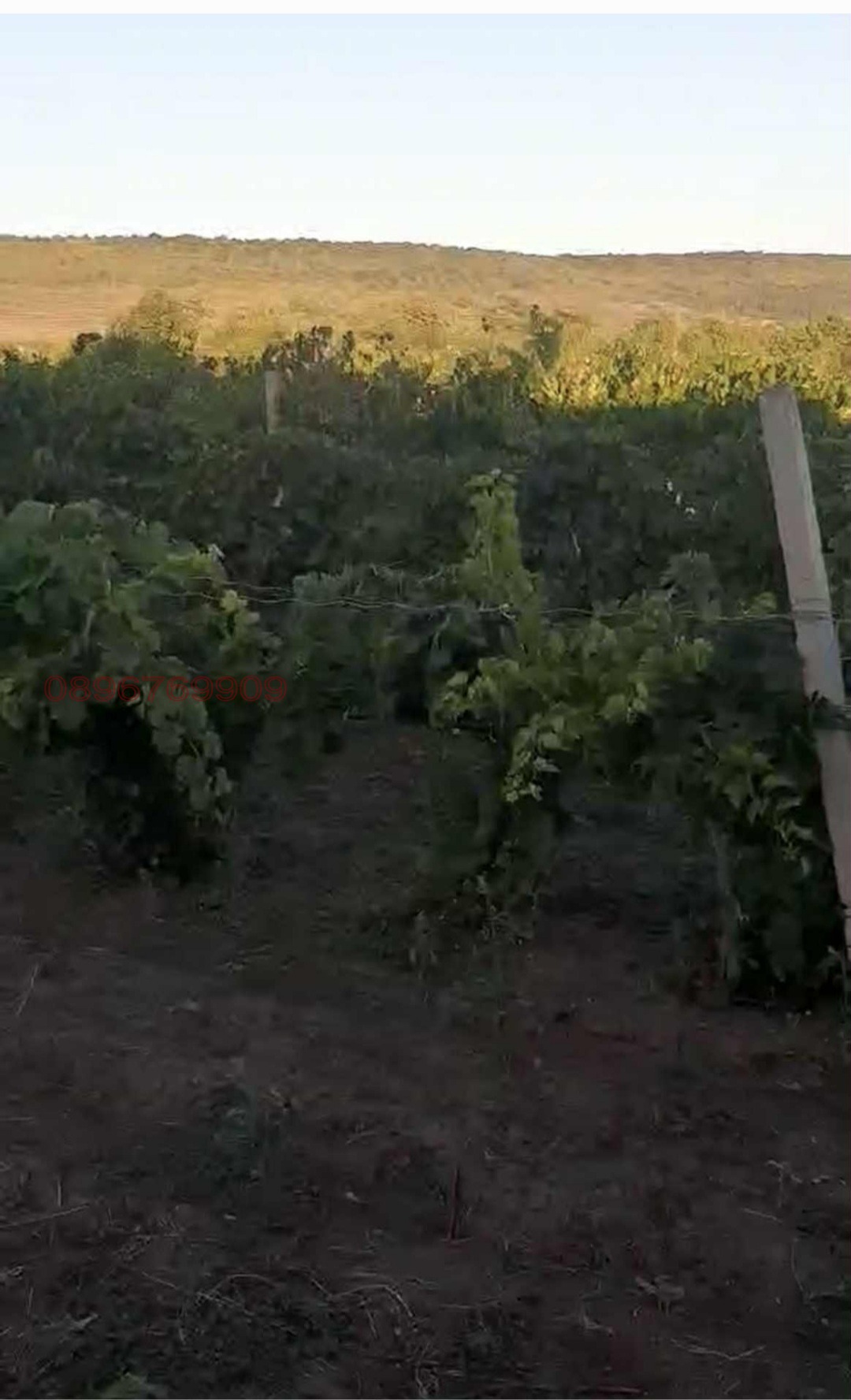 Продава ПАРЦЕЛ, гр. Суворово, област Варна, снимка 4 - Парцели - 54097630