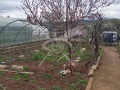 Продава КЪЩА, област София, гр. Годеч • 205000 € • 85570867 — Holmes.bg