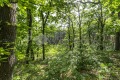 Продава ПАРЦЕЛ, област Перник, с. Рударци • 80000 € • 30402625 — Holmes.bg
