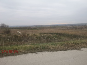 ������ ������� ������