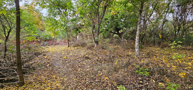 Продава ПАРЦЕЛ, с. Асеново, област Плевен, снимка 3 - Парцели - 52782338