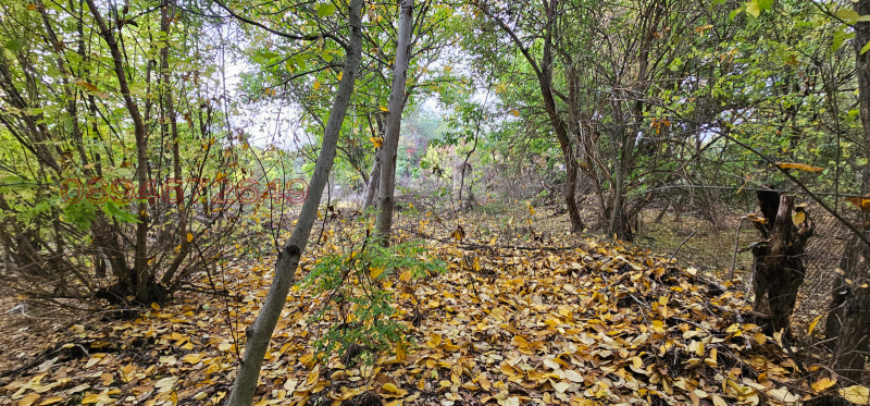 Продава ПАРЦЕЛ, с. Асеново, област Плевен, снимка 5 - Парцели - 52782338