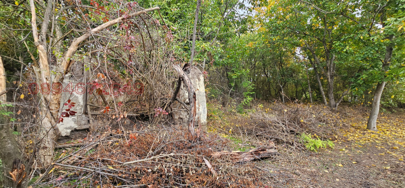 Продава ПАРЦЕЛ, с. Асеново, област Плевен, снимка 2 - Парцели - 52782338