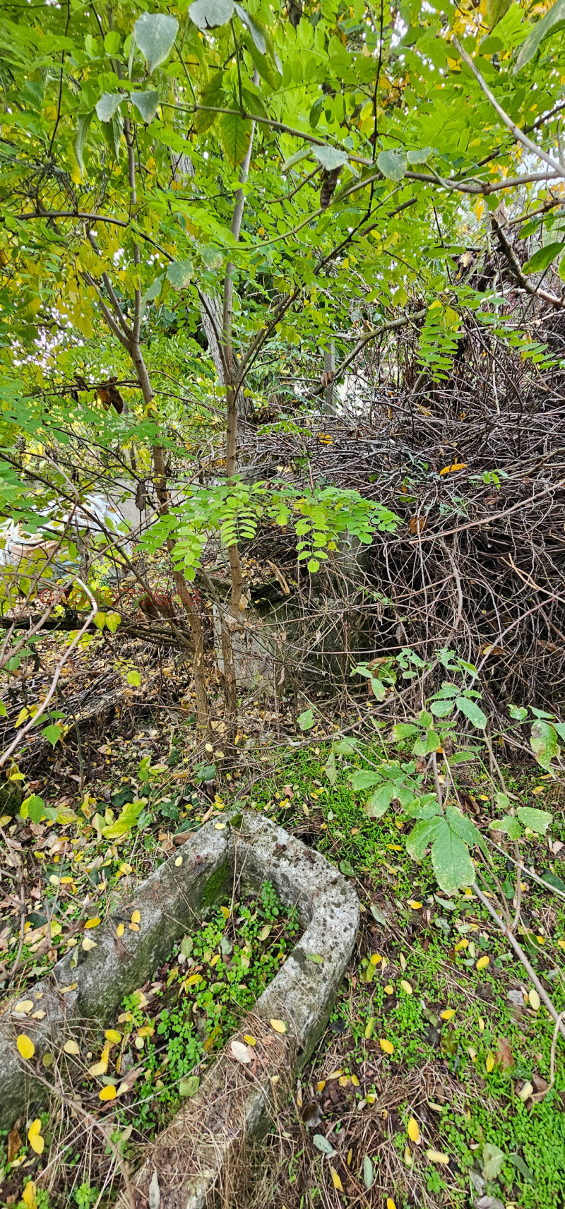 Продава ПАРЦЕЛ, с. Асеново, област Плевен, снимка 11 - Парцели - 52782338