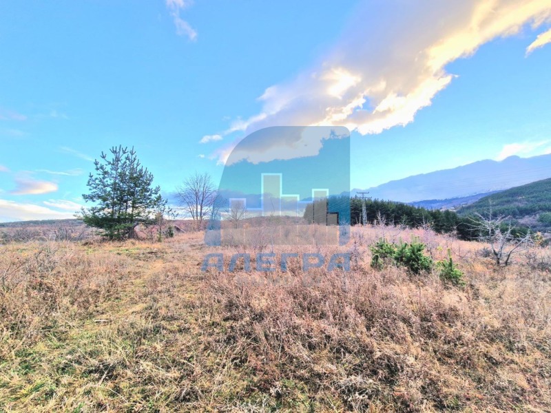 En venta  Trama Sofia , Pancharevo , 4858 metros cuadrados | 63932546 - imagen [4]