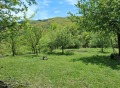 Продава КЪЩА, област Перник, с. Горна Врабча • 26000 € • 86498030 — Holmes.bg