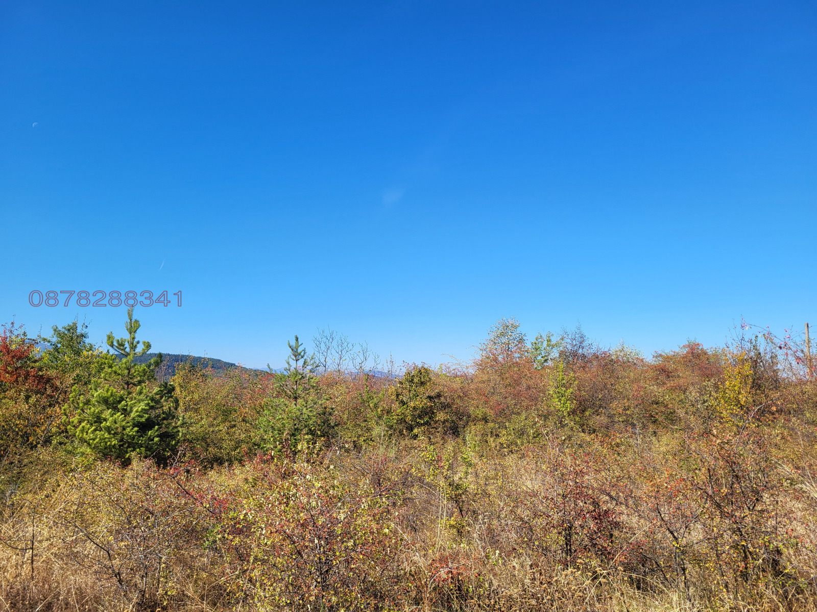 ������� ������ | Imot.bg � ����������� 4