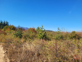������� ������ | Imot.bg � ����� ������ 8