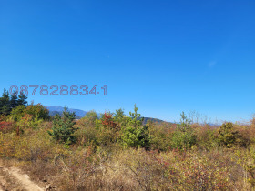 ������� ������ | Imot.bg � ����� ������ 3