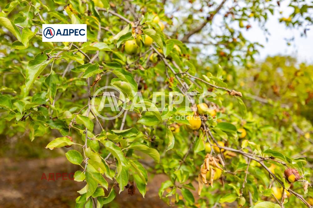 Продава КЪЩА, с. Осеново, област Варна, снимка 15 - Къщи - 55986618