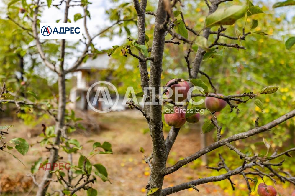 Продава КЪЩА, с. Осеново, област Варна, снимка 14 - Къщи - 55986618