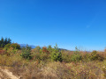 Продава  Парцел област Монтана , гр. Вършец , 1700 кв.м | 47820141 - изображение [3]