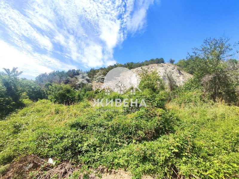 Продава ПАРЦЕЛ в област Добрич, гр. Балчик - 5174 кв.м / 260 000 € » 508 515.80 лв., ЖИВЕНА