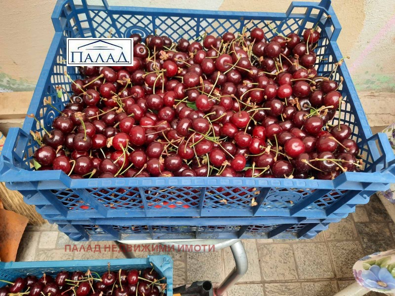 Προς πώληση  Γη περιοχή Βάρνα , Βληζνατση , 20 dka | 80819312 - εικόνα [5]