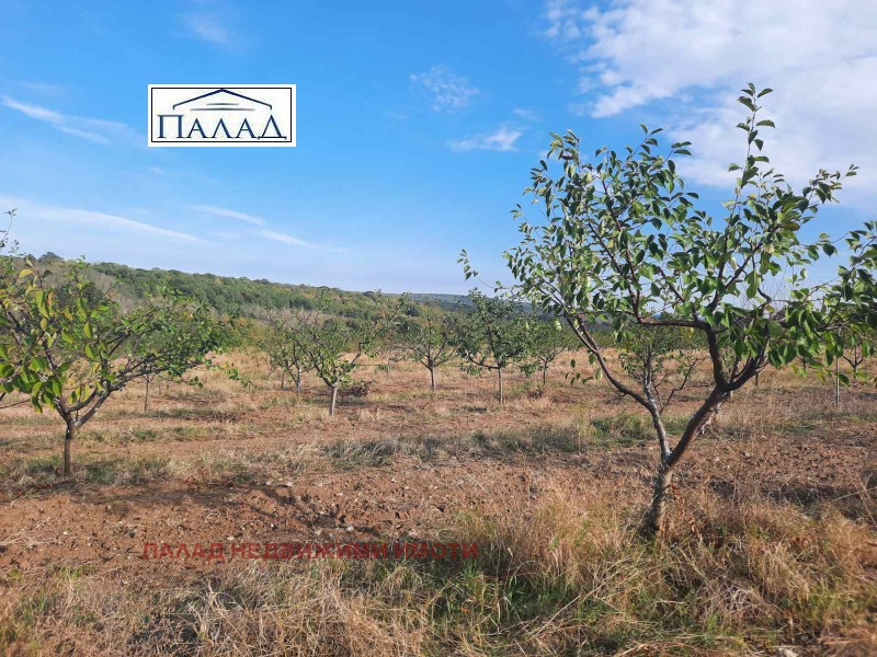 En venta  Tierra región Varna , Bliznatsi , 20 dka | 80819312 - imagen [4]