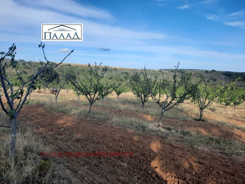 En venta  Tierra región Varna , Bliznatsi , 20 dka | 80819312 - imagen [3]