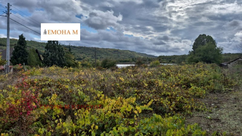 Продава  Парцел област Варна , с. Осеново , 1486 кв.м | 29052674 - изображение [2]