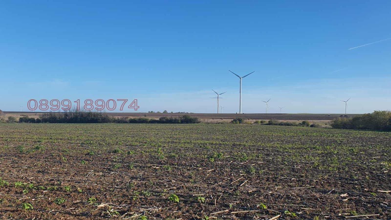 Продава ЗЕМЕДЕЛСКА ЗЕМЯ, с. Горун, област Добрич, снимка 8 - Земеделска земя - 52922039