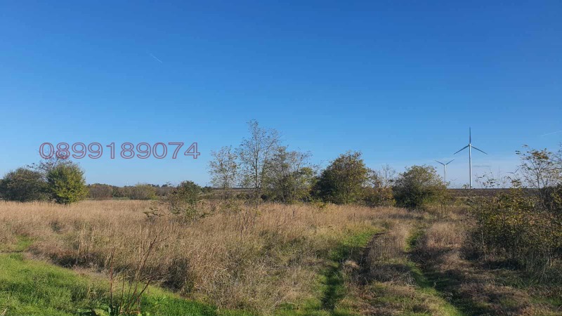 Продава ЗЕМЕДЕЛСКА ЗЕМЯ, с. Горун, област Добрич, снимка 6 - Земеделска земя - 52922039