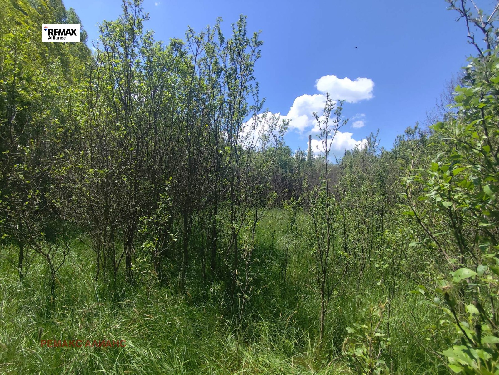 Продава ПАРЦЕЛ, с. Черна гора, област Перник, снимка 8 - Парцели - 54686298