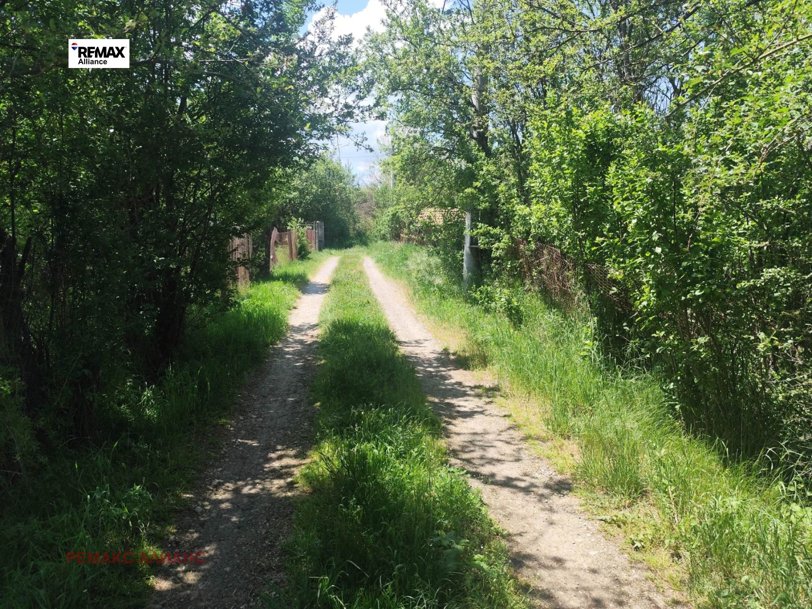 Продава ПАРЦЕЛ, с. Черна гора, област Перник, снимка 6 - Парцели - 54686298