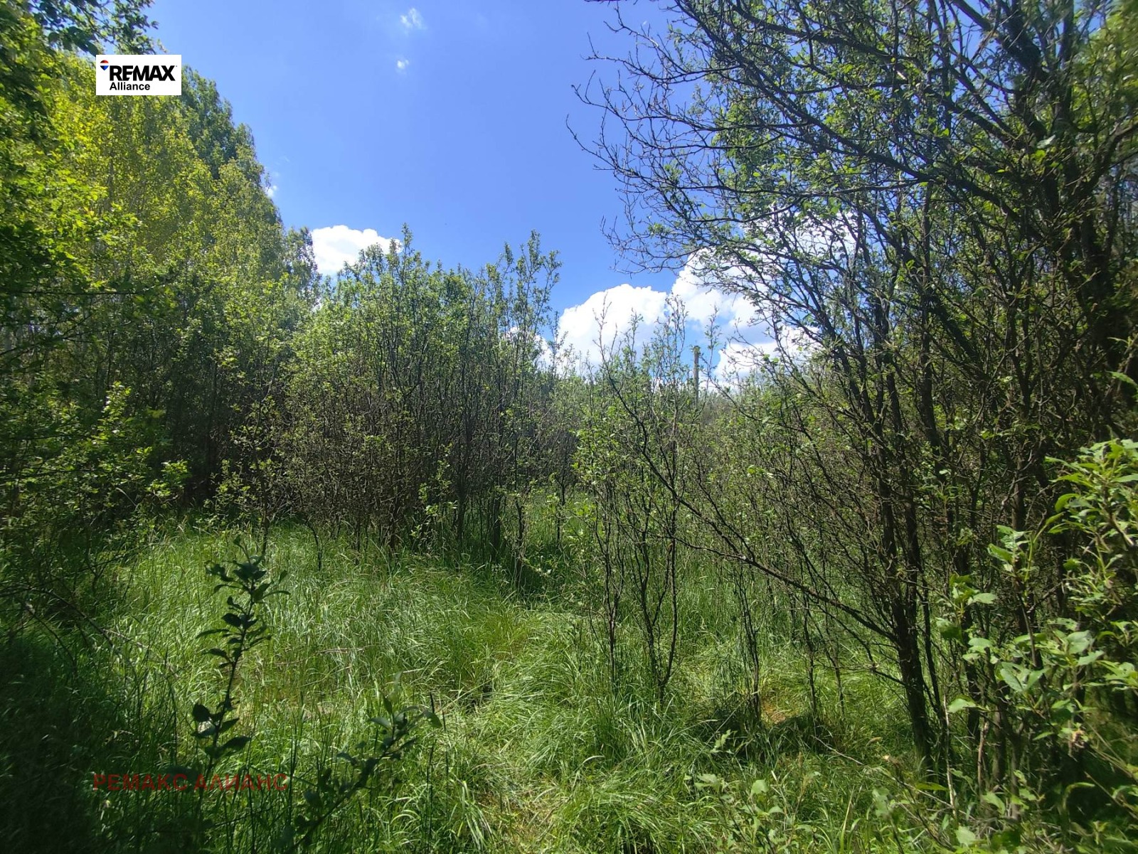 Продава ПАРЦЕЛ, с. Черна гора, област Перник, снимка 9 - Парцели - 54686298